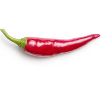 수족냉증에 좋은 음식