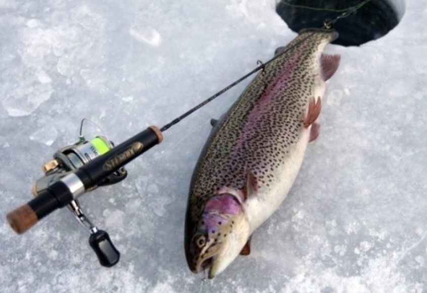흥미진진 얼음공주&amp;#44; 공주 송어낚시&amp;#44; 썰매 이용권. 공주에서 얼음낚시&amp;#44; 전통썰매 등 얼음 위에서 즐길 수 있는 다양한 놀이를 안전하게 즐길 수 있는 축제가 열립니다.