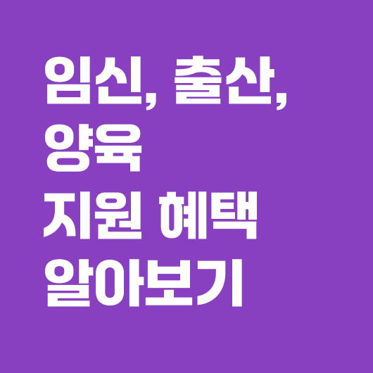 임신 출산 양육 정부지원