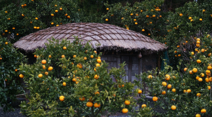 혼자 여행하기 좋은 국내 여행지 TOP 3, 한국에서 나홀로 여행하기 좋은 곳