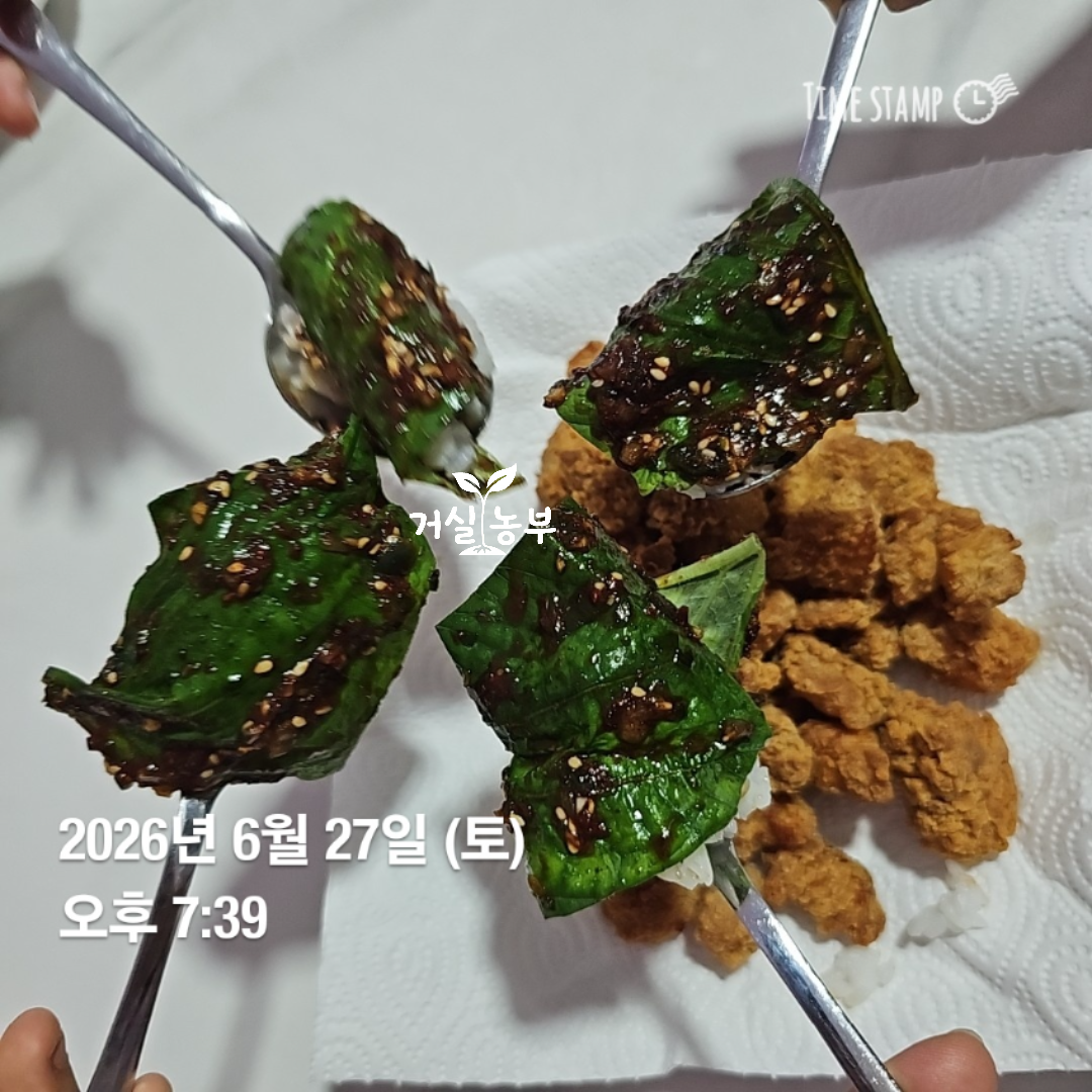 직접 키운 깻잎 반찬을 먹으며 아이들이 숟가락으로 건배하는 모습
