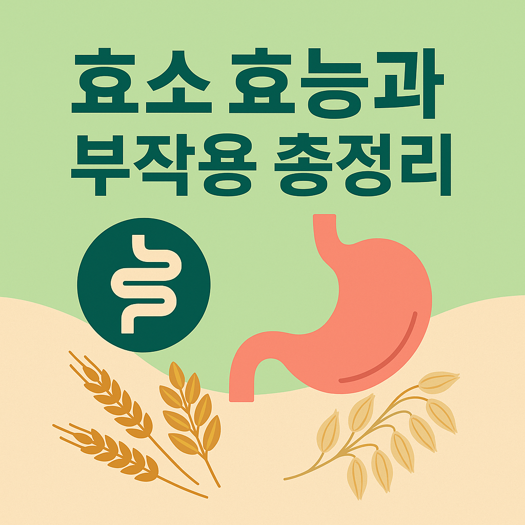 바른곡물효소