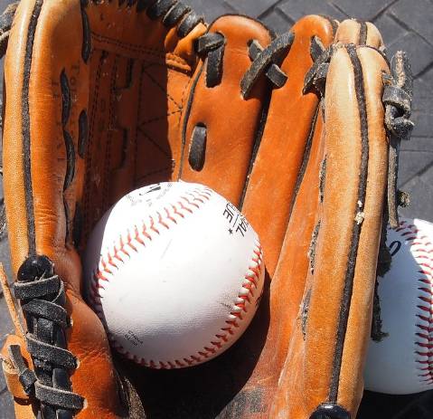 불꽃야구 직관 예매|부산 사직구장 명당 좌석·가격·방법 총정리