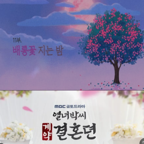 시간 여행자의 복선이 깔려 있는 배롱꽃을 배경으로 배롱꽃이 떨어져 있다.