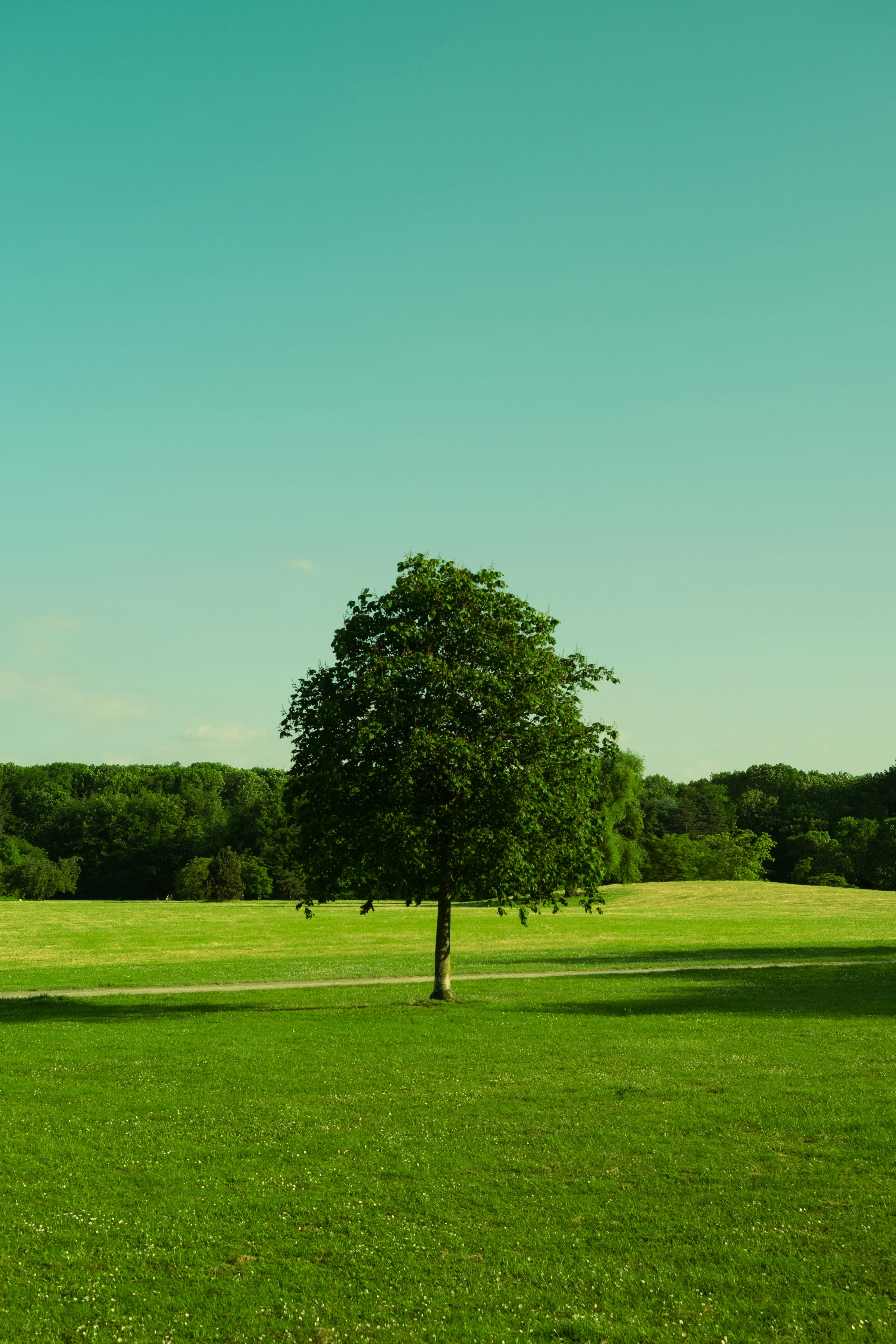 양평-파크골프장-예약