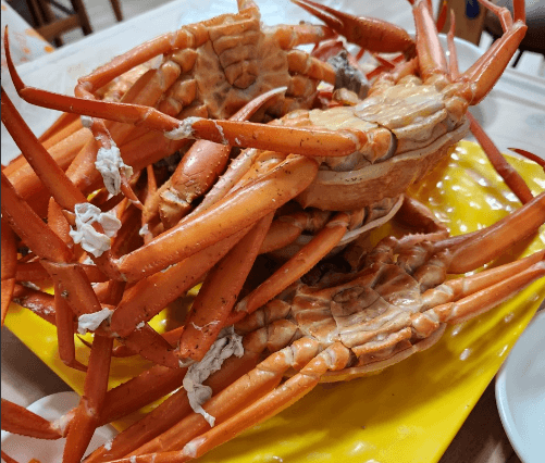 생생정보통 홍게 무한리필 포항 맛집 정보