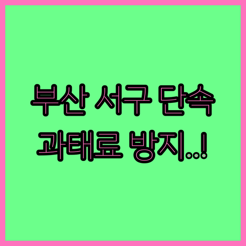 부산 서구 주정차 단속 문자 알림 서..