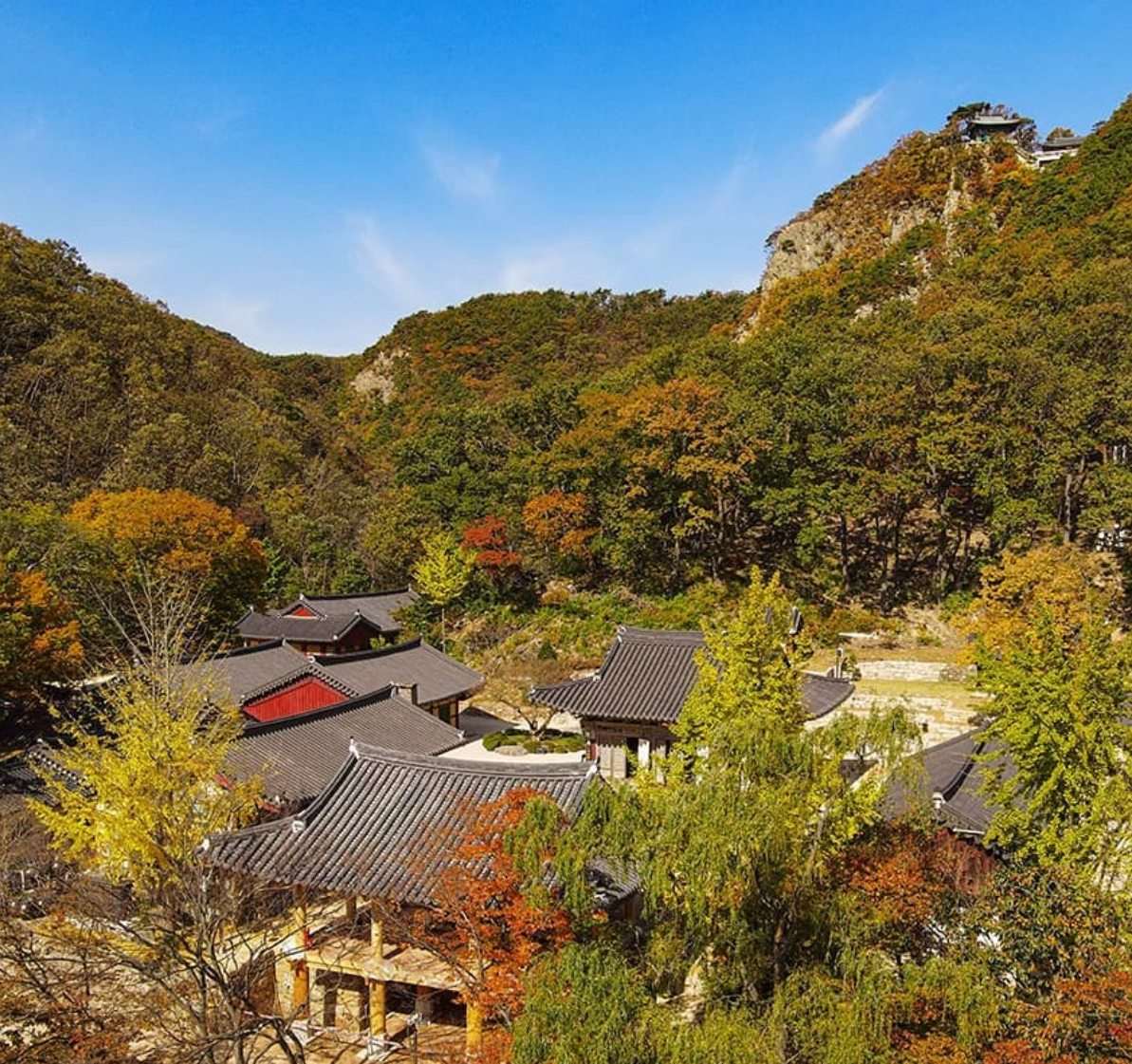 포항 가볼만한곳 베스트10