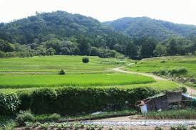 공익직불금 의무교육 바로가기