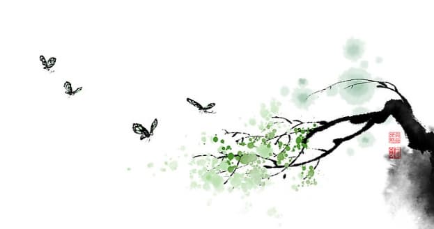 신사임당의 어린 시절이 만든 교육 철학, 지금도 통하는 자녀 교육의 본보기