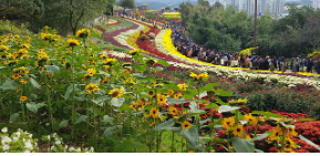 해외 가드닝 스타일 따라 해보기