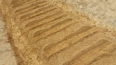 대파재배-씨앗-파종시기-모종-정식시기-수확시기