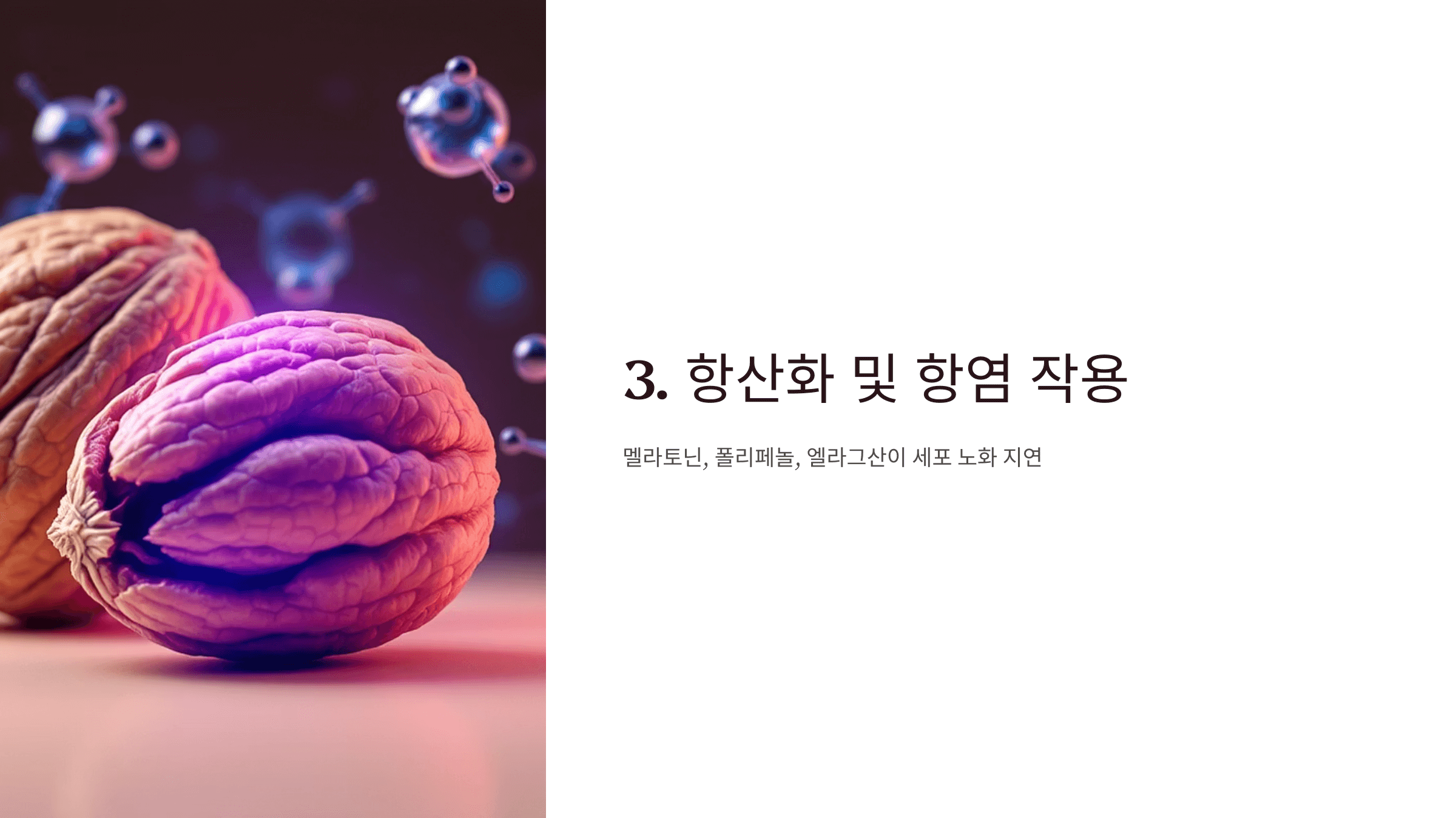 호두 사진입니다.