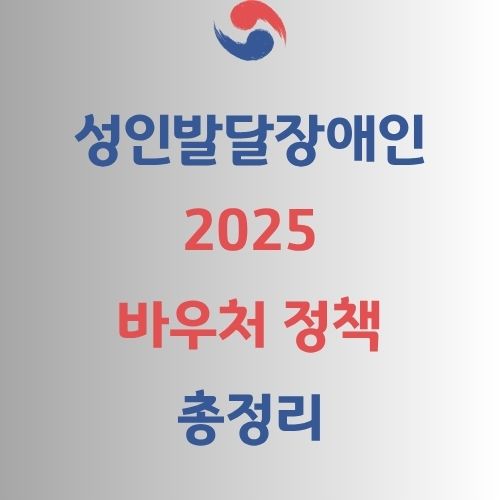 성인 발달장애인 바우처 정책 가이드