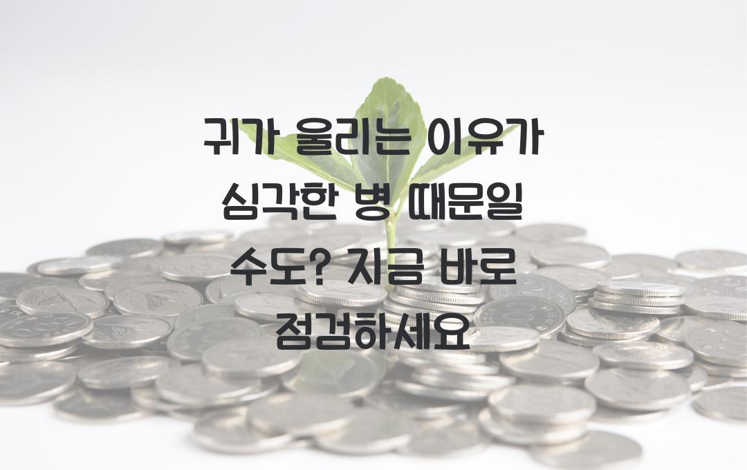 귀가 울리는 이유가 심각한 병 때문일 수도? 지금 체크하세요!