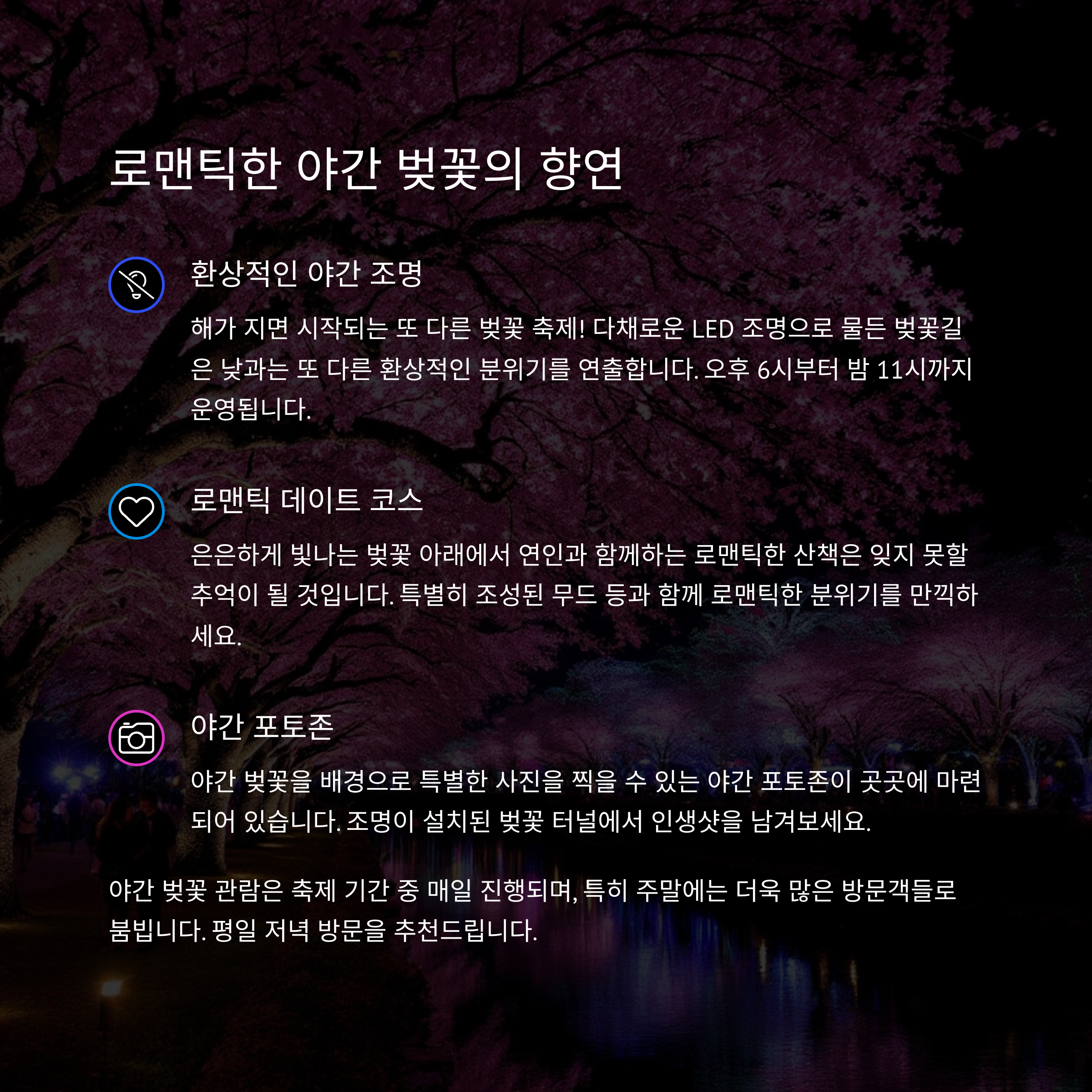 불광천 벚꽃축제