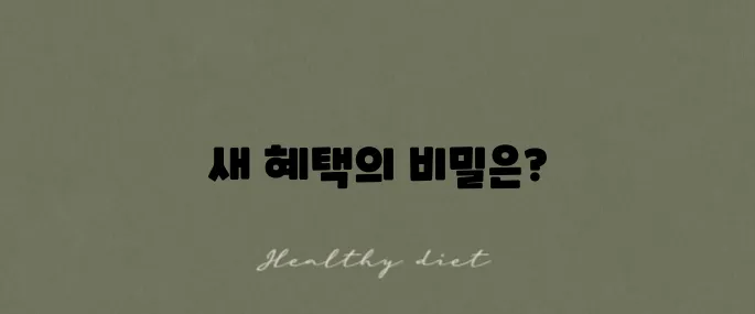 네이버페이 멤버십에 넷플릭스 혜택이 추가된 이용권이 나왔습니다!
