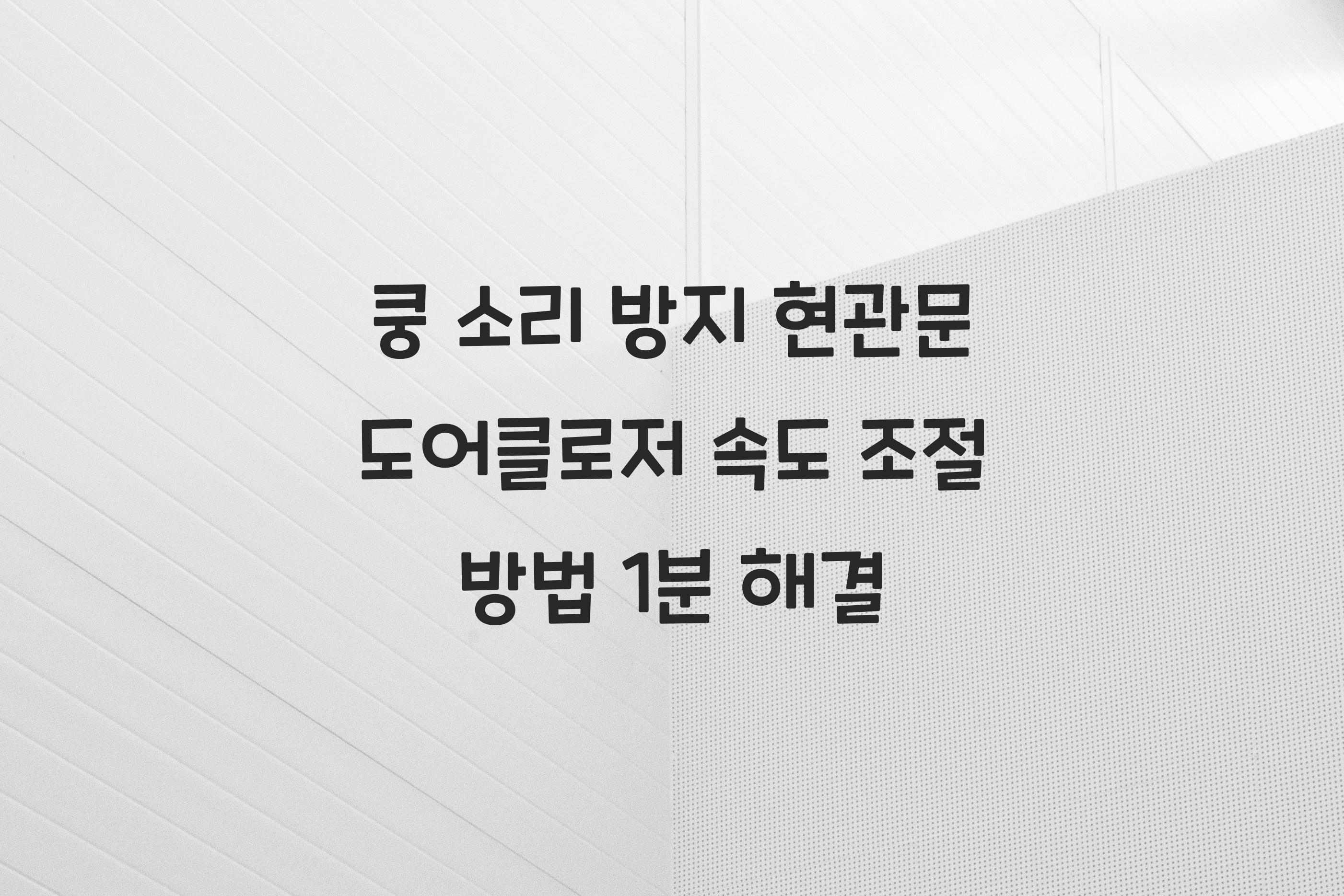 현관문 도어클로저 속도 조절 방법