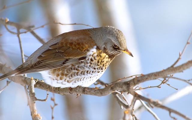환절기 면역력 떨어지는 이유 5가지와 50대 회복 루틴 정리