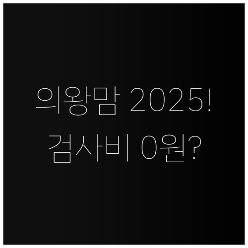 2025 의왕시 임산부 지원 혜택 총..