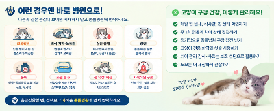 우리집냥이 입냄새 원인 구취가 심해졌다면 확인해야 할 건강 신호 치아 관리법 총정리