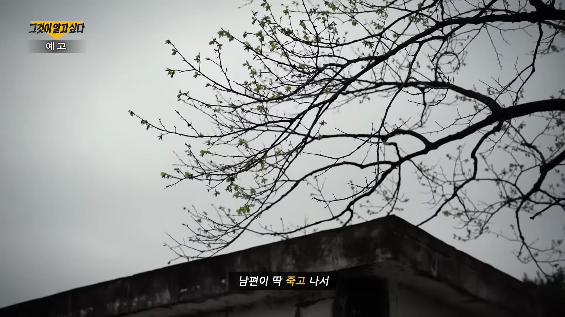 전남 지적장애소녀 집단 성폭행 사건 13명 공모자들 추악한 소문과 거짓말