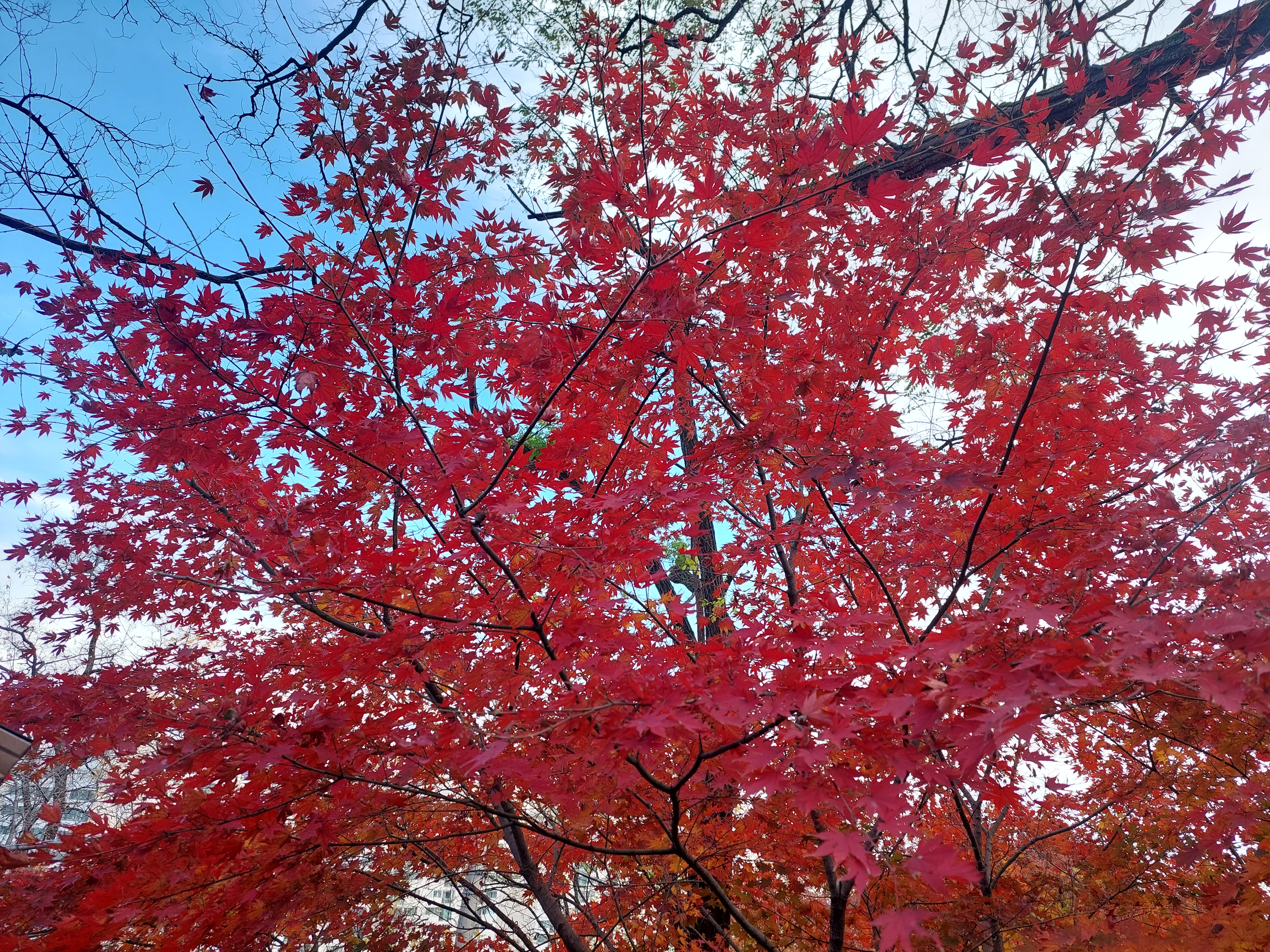 안산