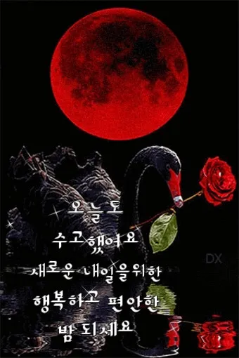 밤 인사 이미지 20개 따뜻한 말 한마디 전하세요 정리_8