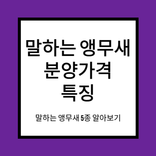 앵무새 분양가격
