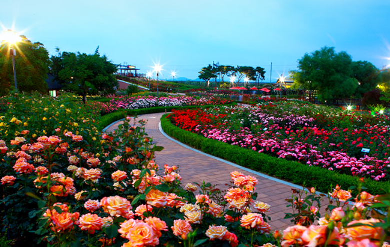 곡성 장미공원