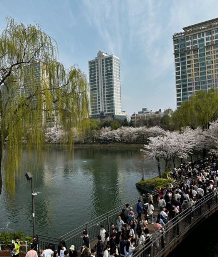 석촌호수 대형 랍스터 롯데월드 10주년 행사 공원 주차장
