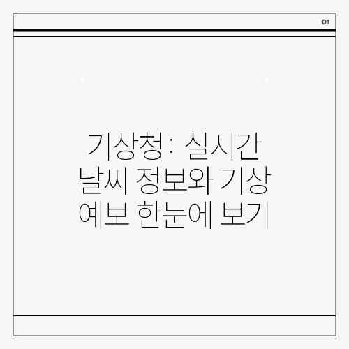 기상청: 실시간 날씨 정보와 기상 예보 한눈에 보기