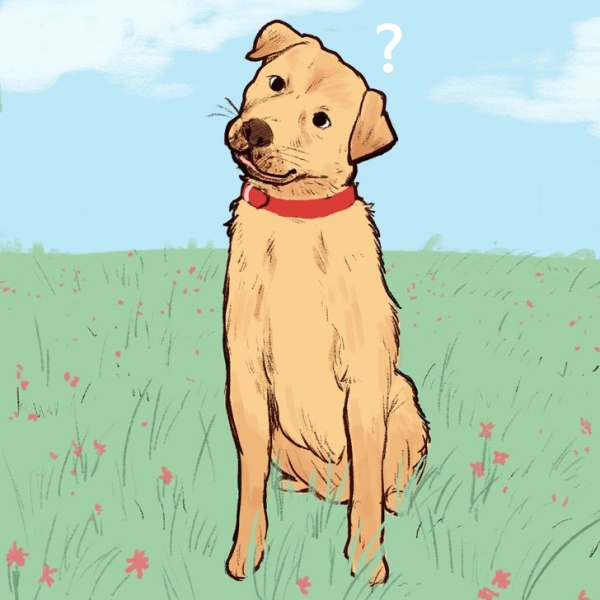 고개 갸우뚱, 반려견 행동의미, 생활 팁줌 매일꿀정보