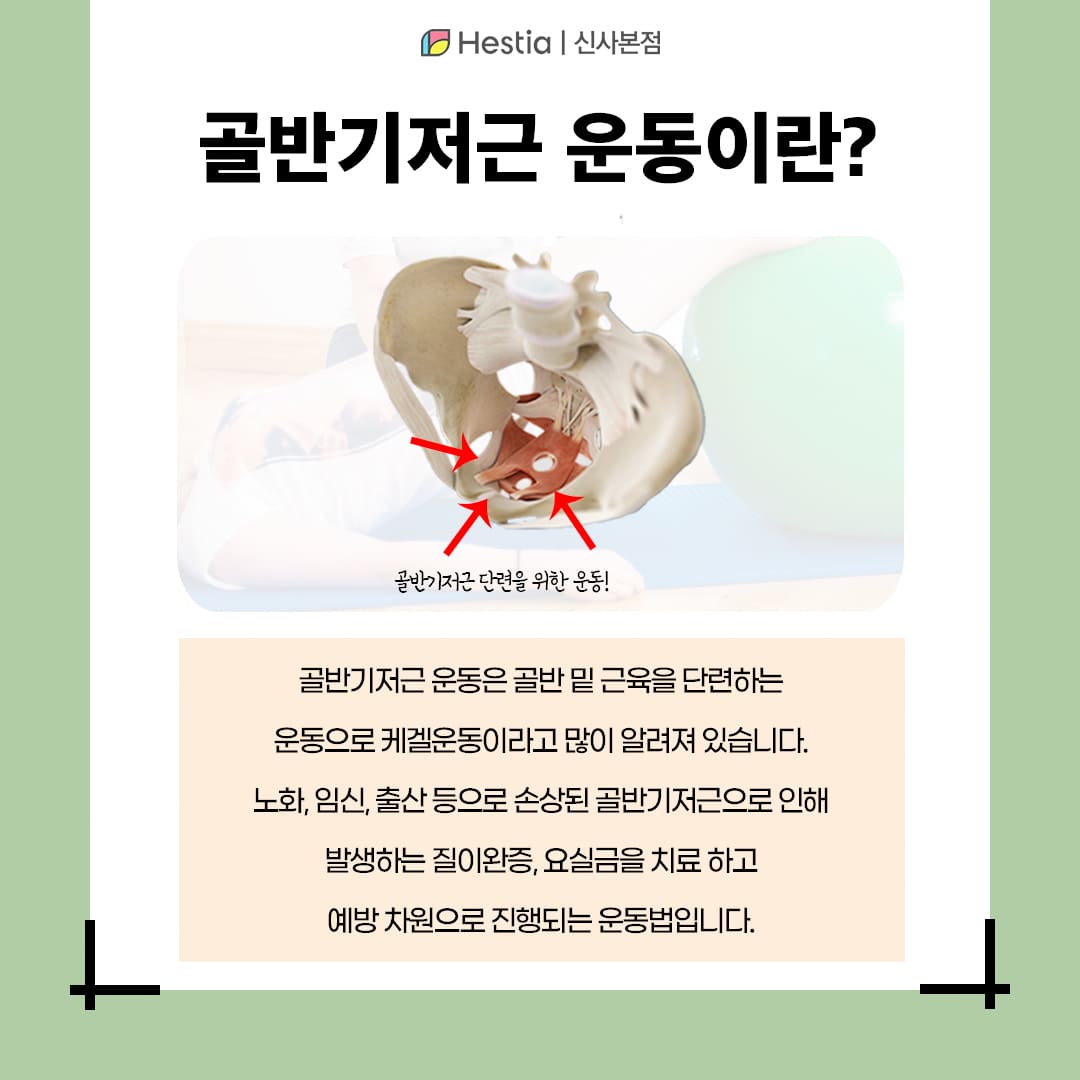 골반기저근이란?