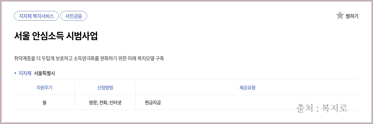 서울 안심소득