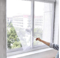 러브버그 퇴치 및 예방법