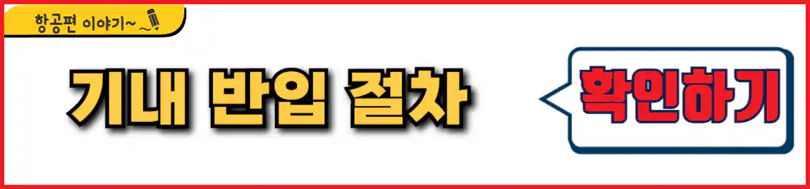 비행기 기내반입 절차