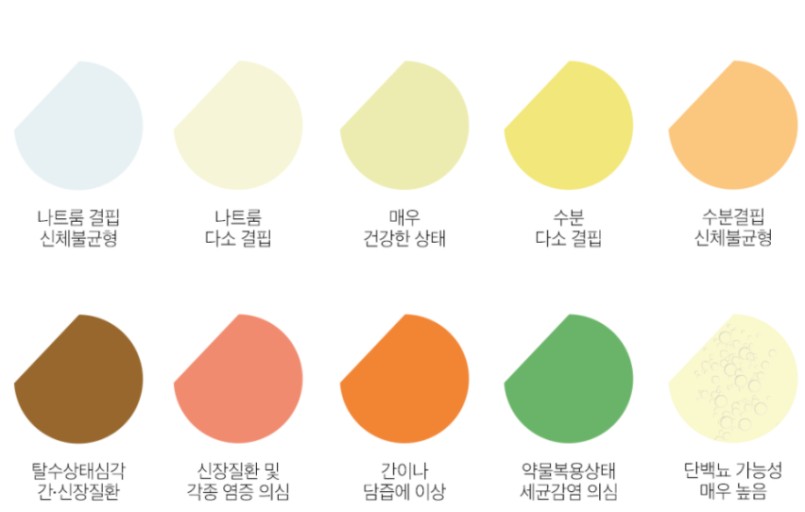 소변 색에 따른 건강신호 알아보자/ 출처 - 네이버블로그[Here and now~*]