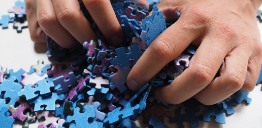 새, 앵무새 집사들이 좋아하는 장난감 모음