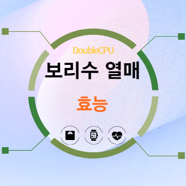 보리수 열매 효능 탐구