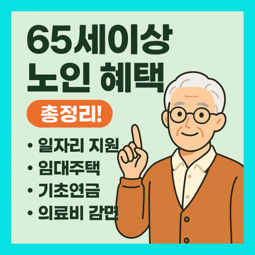 65세이상 노인 혜택 완벽 가이드