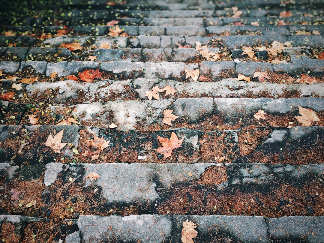 Step