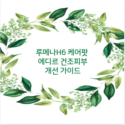 루메나H6 케어팟 에디르 건조피부 개선 가이드