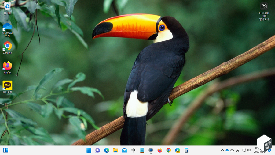 사용자가 수동으로 다음 추천 이미지로 배경 화면을 전환 가능