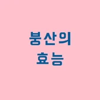 붕산의 효능 비료 바퀴벌레 개미 퇴치법 칼슘 용도 붕사의 차이 만드는 법 안내집_2