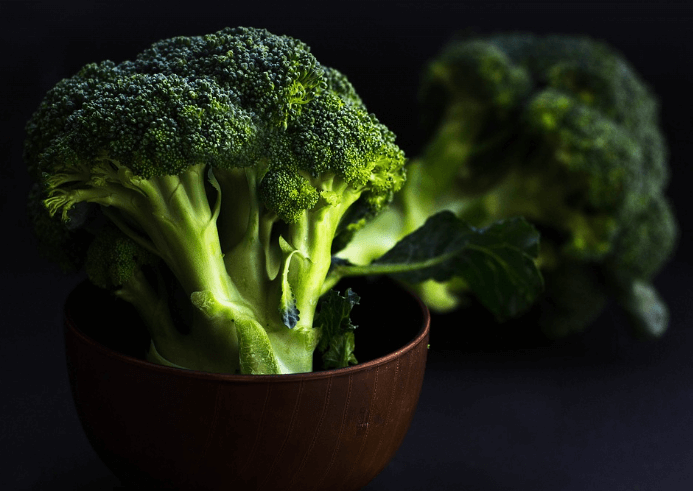 폐에 좋은 음식