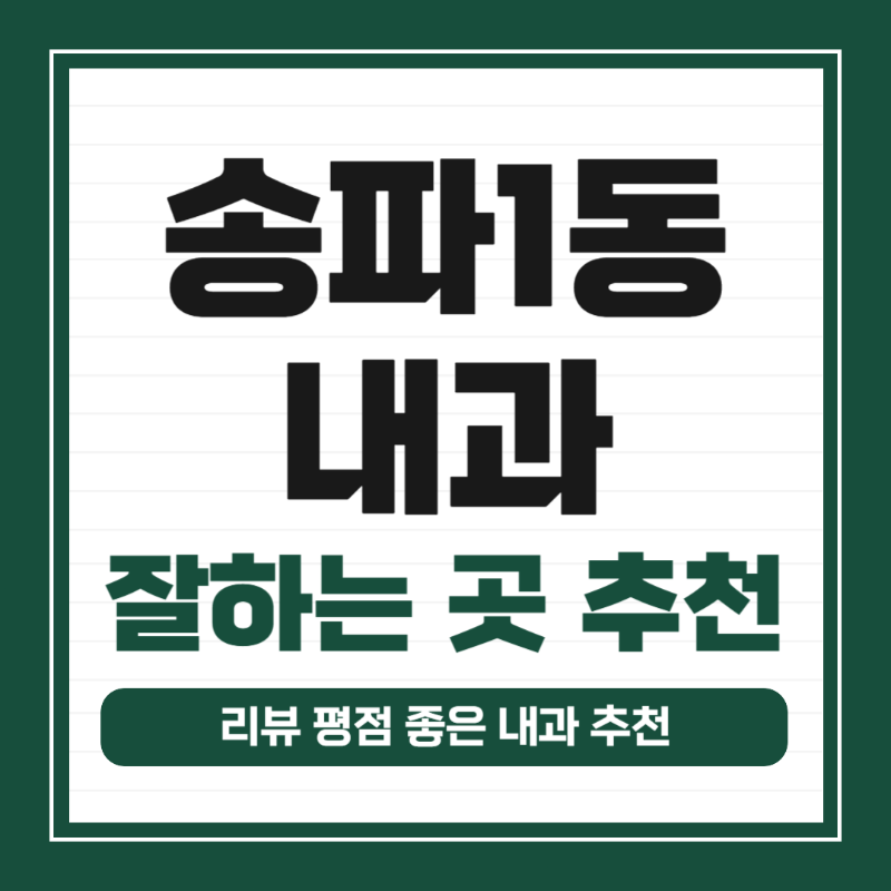 송파구 송파1동 내과 병원 24시 야간진료 유명한 곳 잘하는 곳 추천