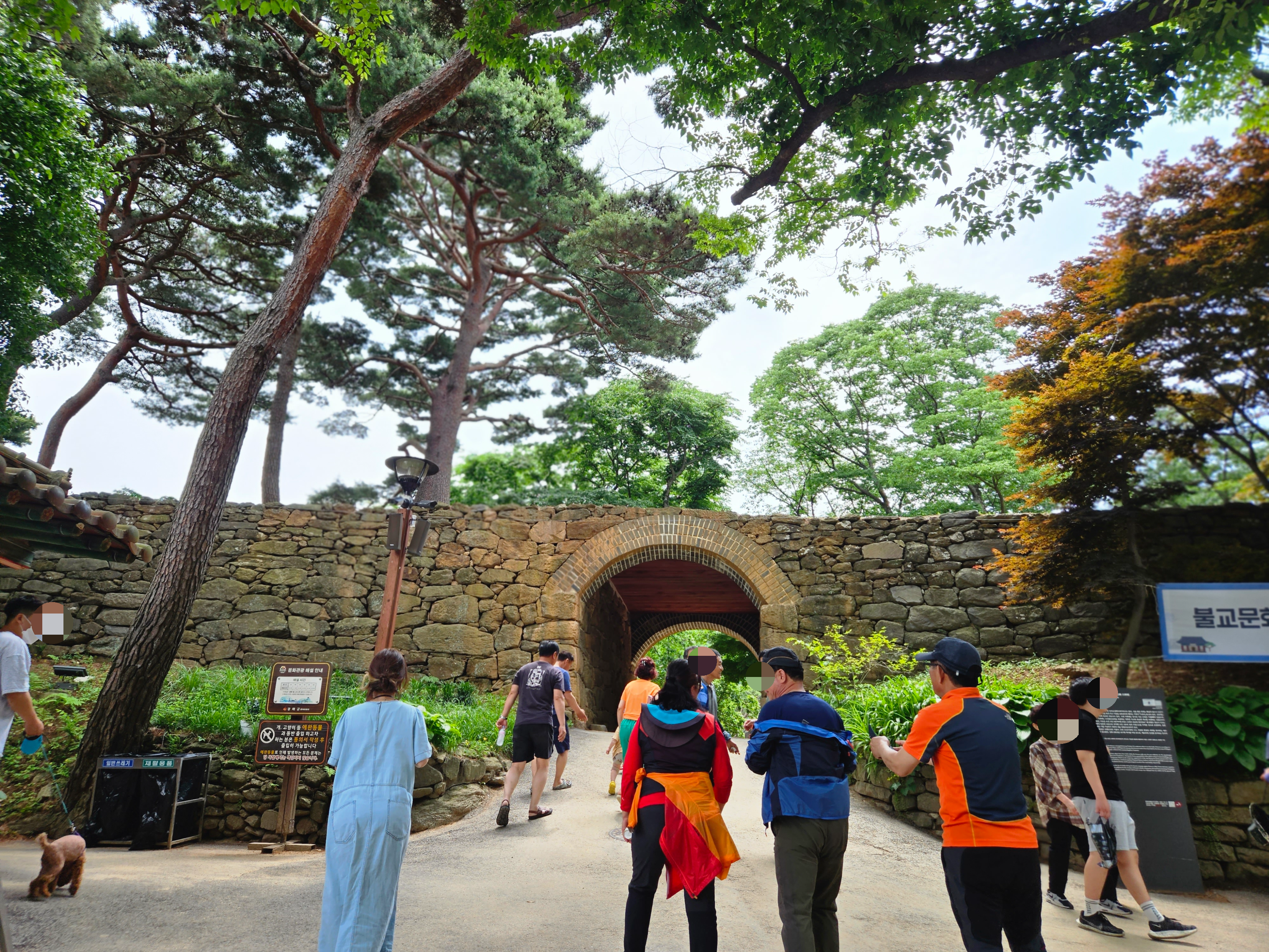 강화도 전등사 애견동반 반려동물동반 식당