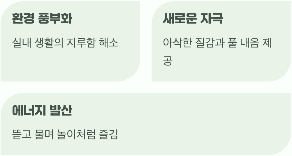 넷째, 지루한 일상의 즐거운 간식