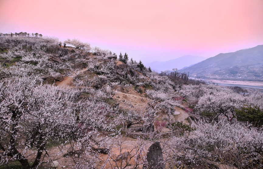 국내 저예산 여행지 추천 TOP 5